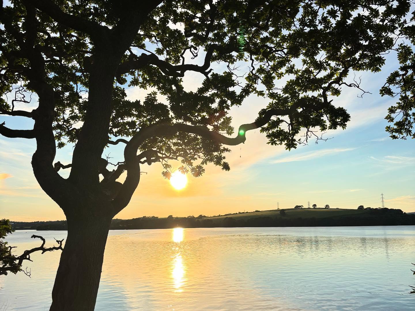 Dartmoordarling 1747166997 3631822468322847444 2375284119