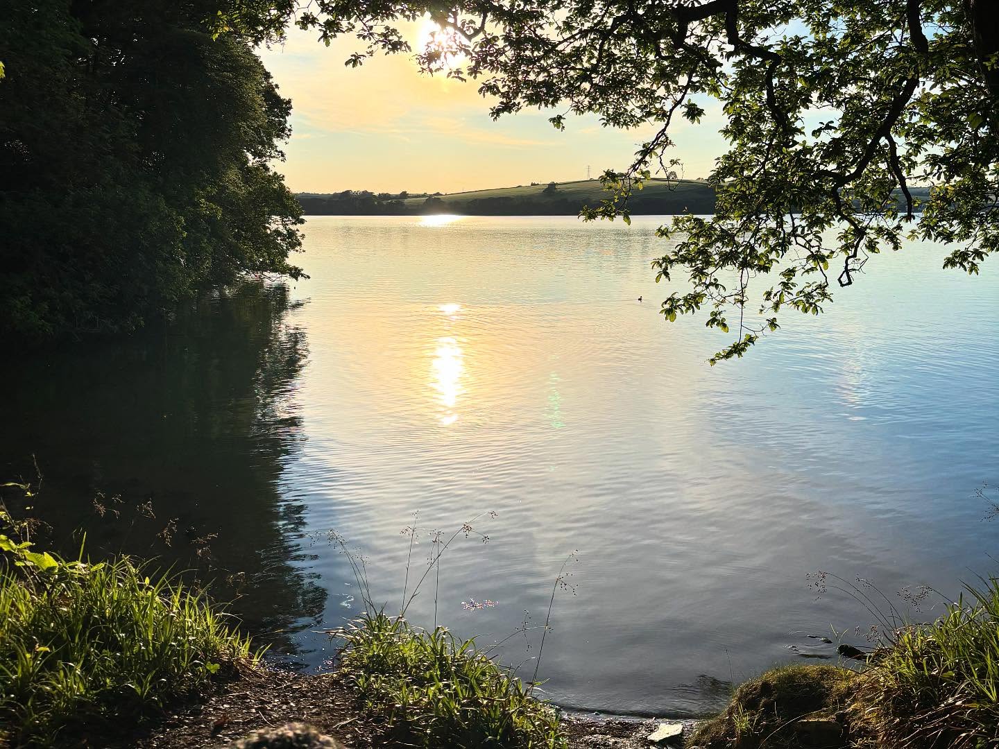 Dartmoordarling 1747166998 3631822468515740804 2375284119