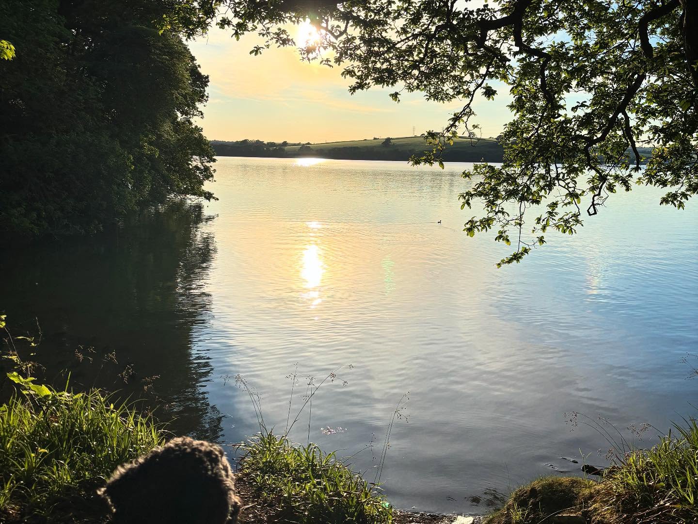 Dartmoordarling 1747166998 3631822468532548604 2375284119