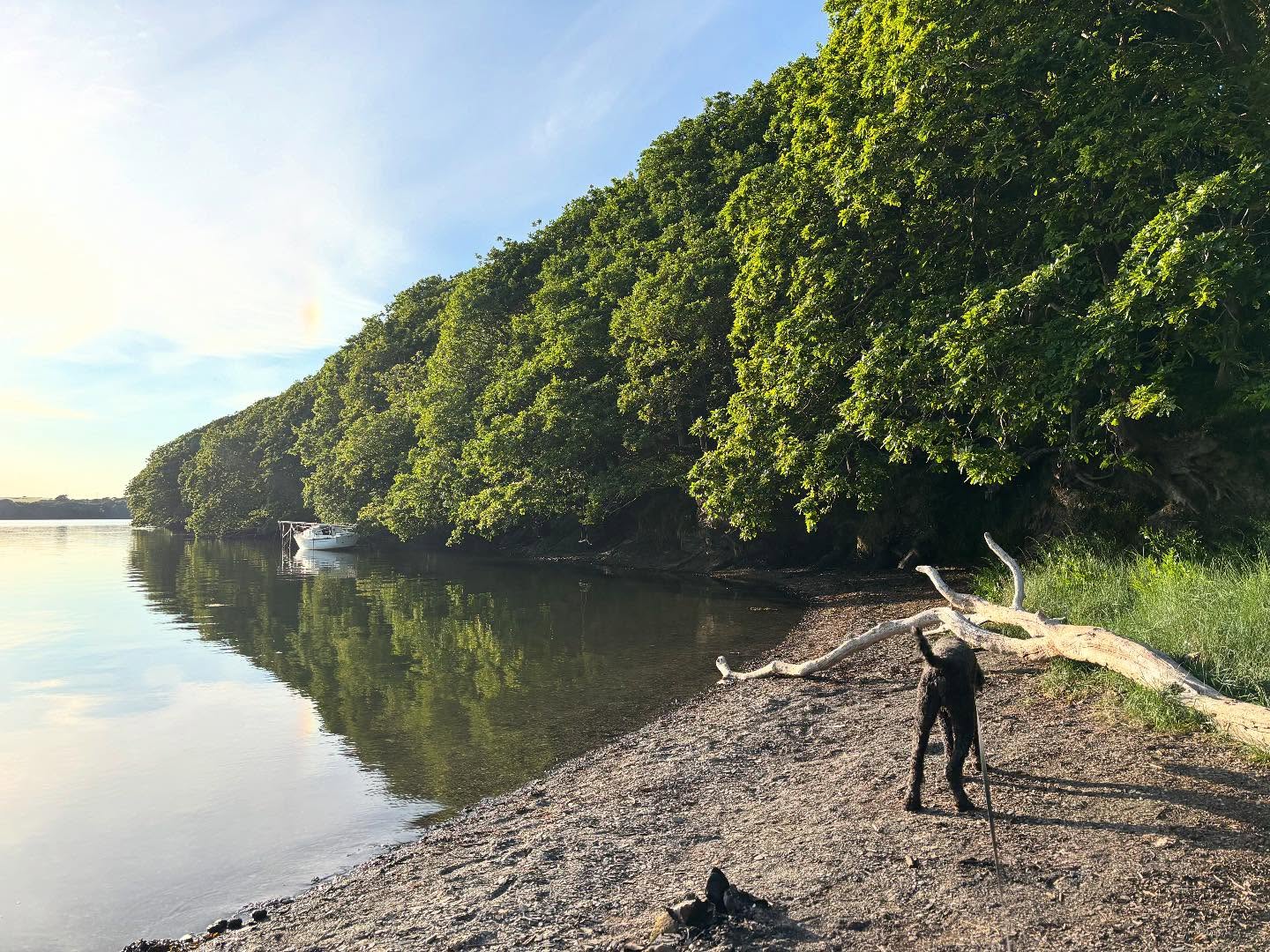 Dartmoordarling 1747166998 3631822468540795604 2375284119