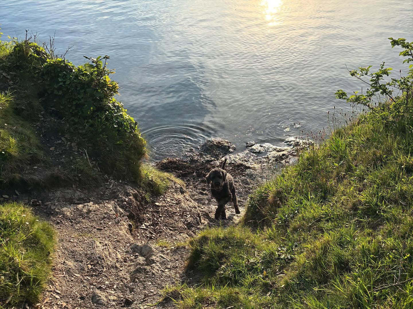 Dartmoordarling 1747166998 3631822468540986493 2375284119