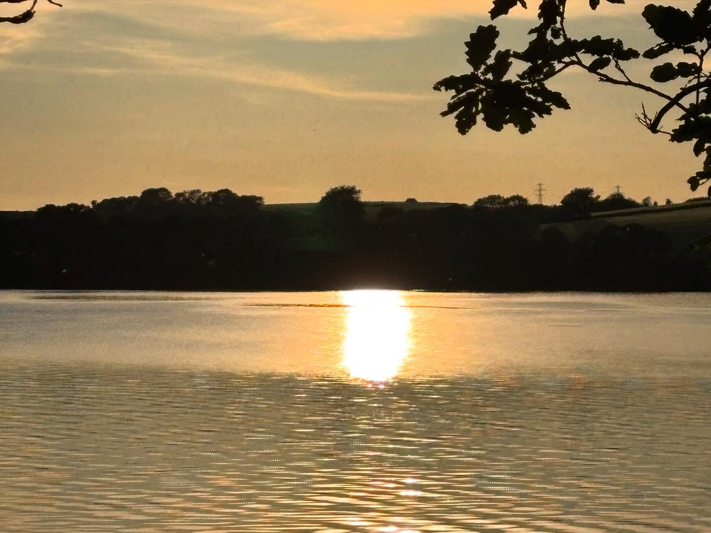 Dartmoordarling 1747166998 3631822468541023288 2375284119