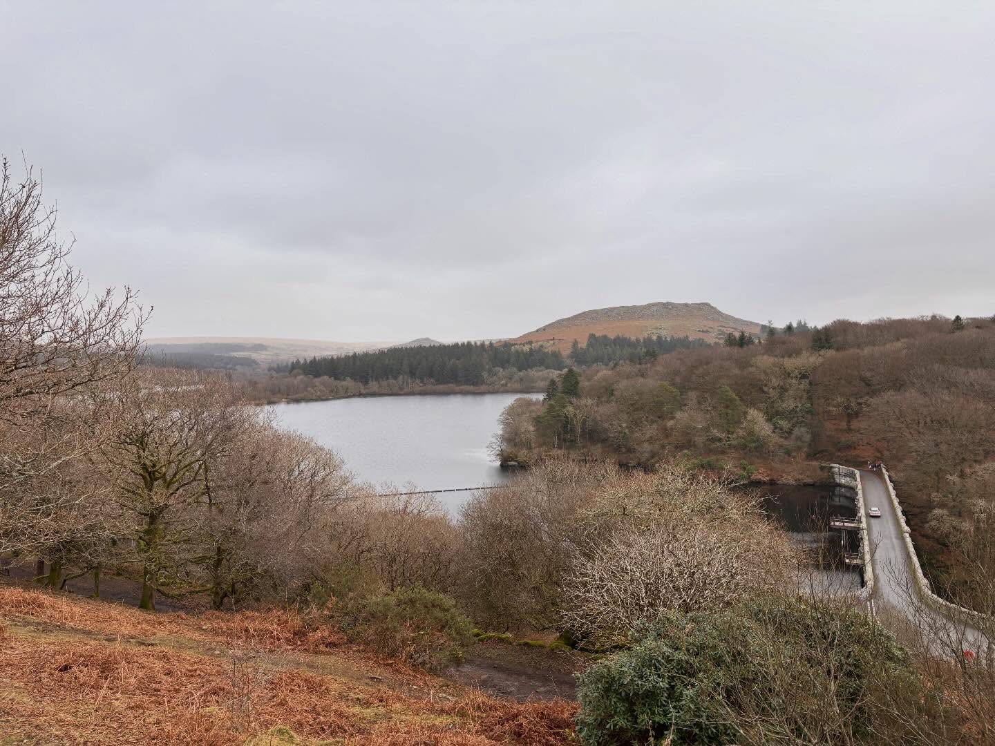 Dartmoordarling 1767887033 3805634725670959612 2375284119